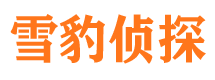 杭州侦探公司